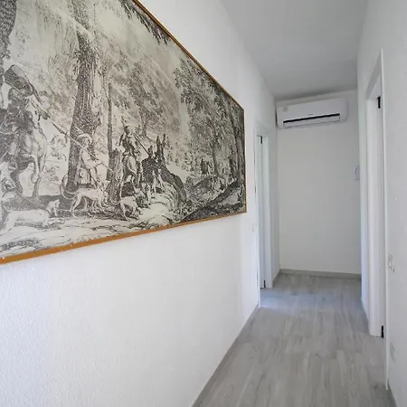 Baiazzurra *